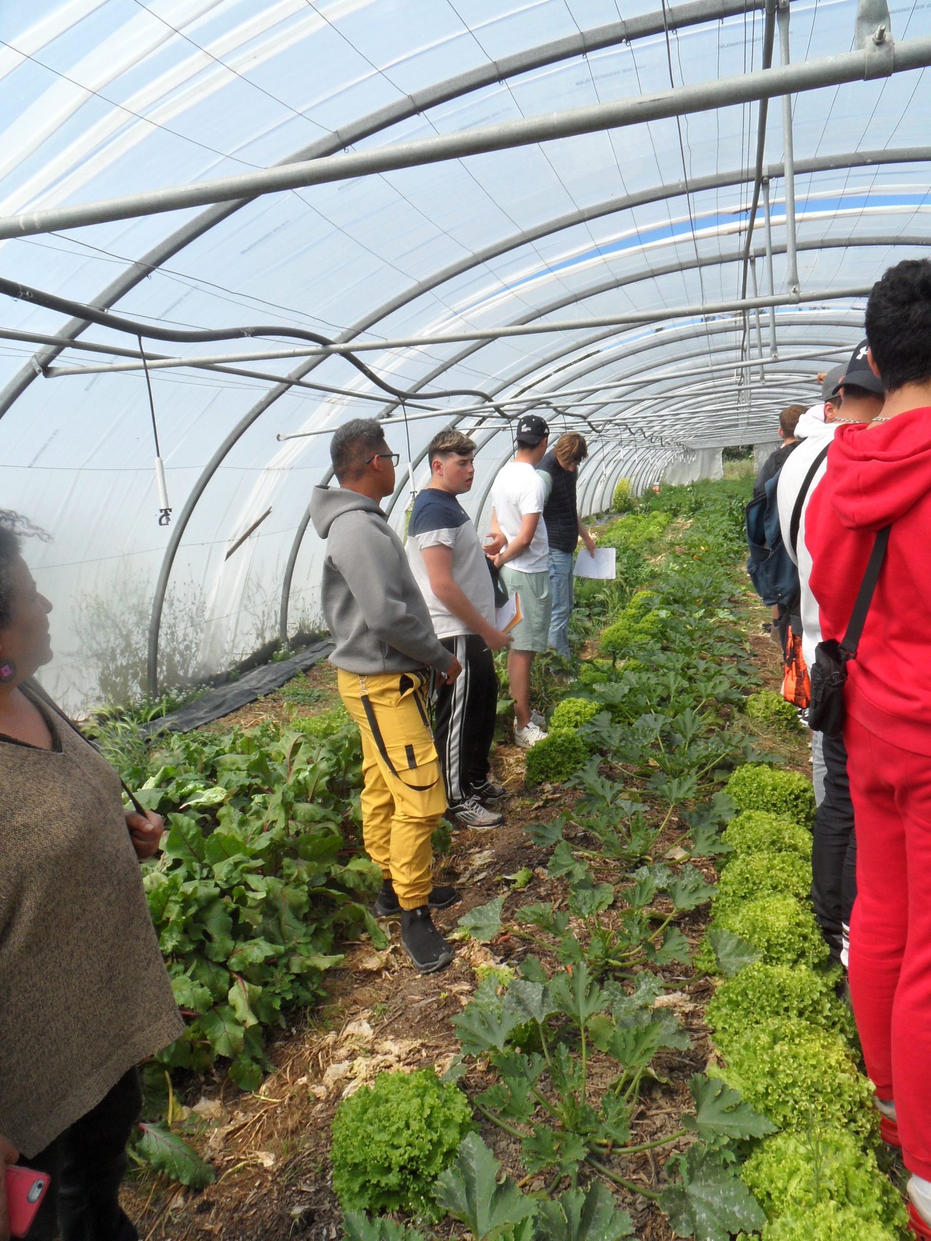 Visite de la ferme expérimentale de la Durette – LPA La Ricarde